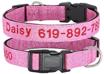 Embroidered Personalized Nylon Collars