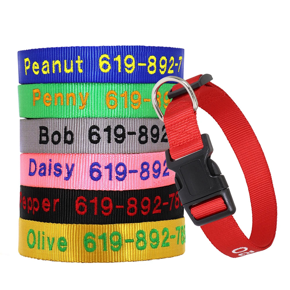 Embroidered Personalized Nylon Collars