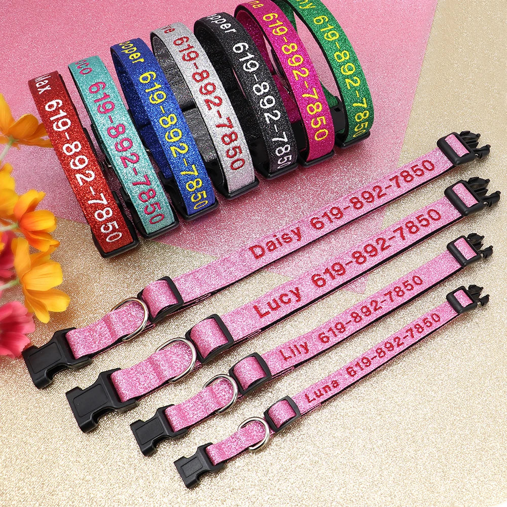 Embroidered Personalized Nylon Collars