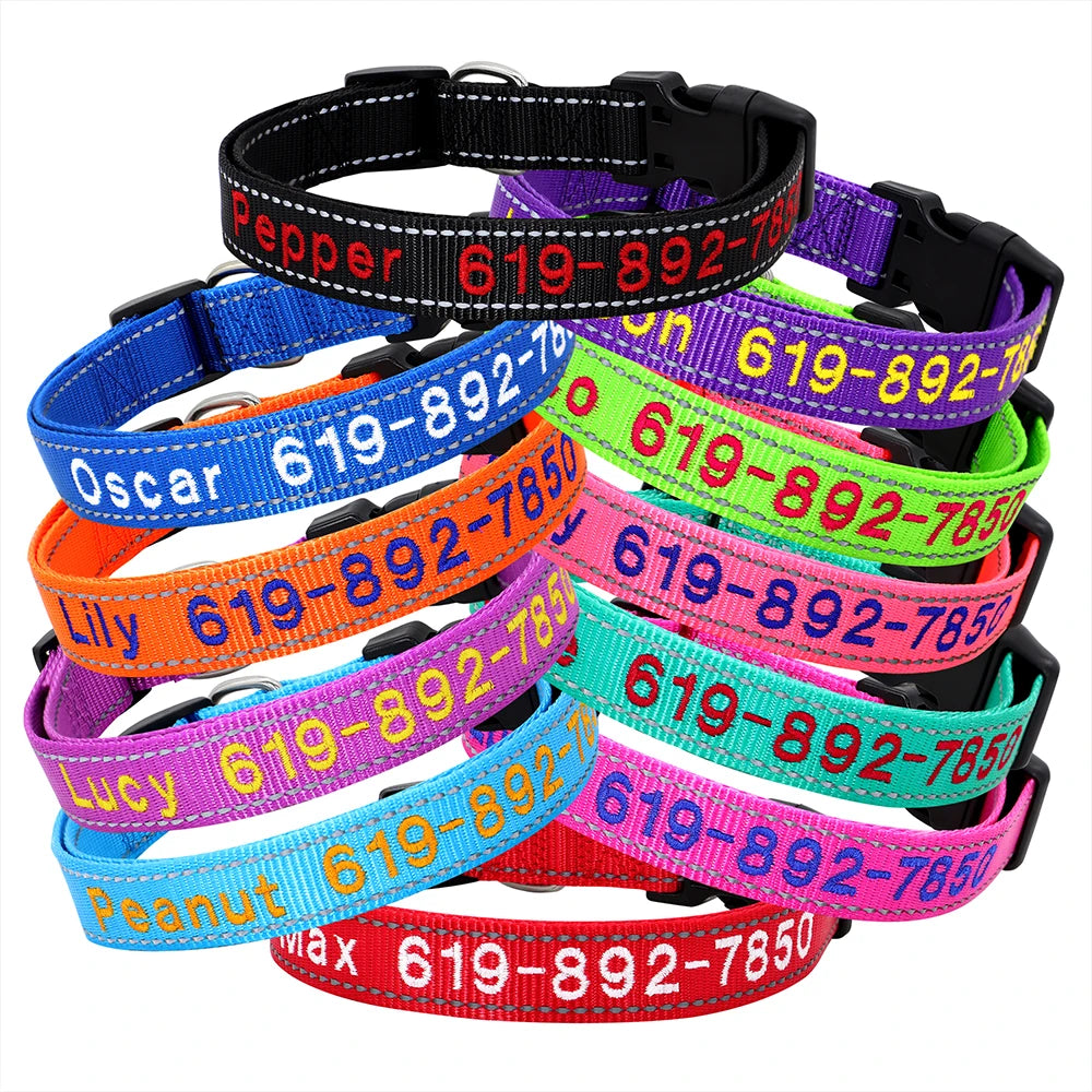 Embroidered Personalized Nylon Collars