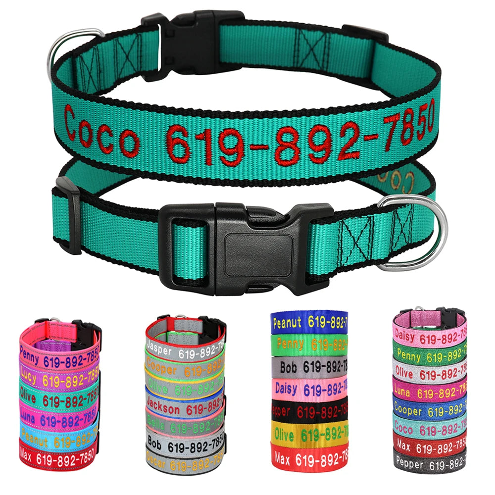 Embroidered Personalized Nylon Collars