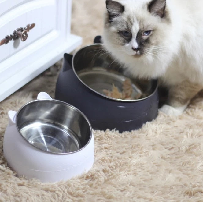 Raised Angled Stainless Steel Cat Bowl
