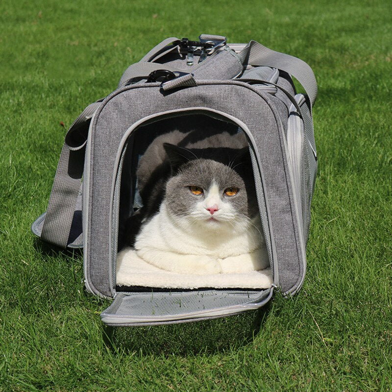 Pet Travel Bag (Airline Approved)