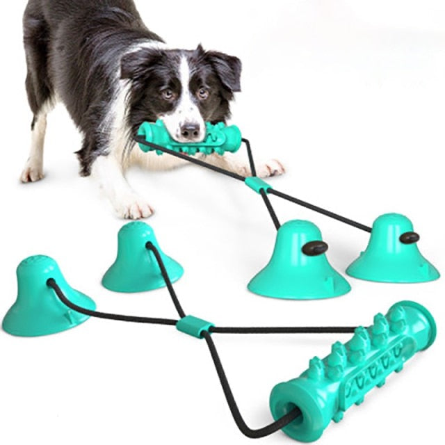 Dog Chew Toothbrush Combo Toy