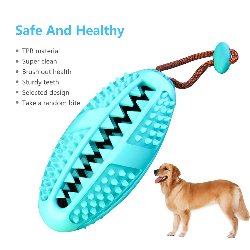 Dog Toy/Dental Care System