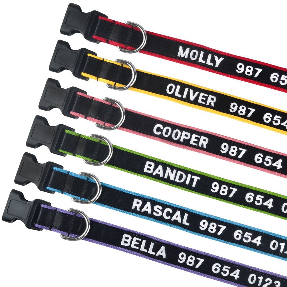 Embroidered Personalized Nylon Collars