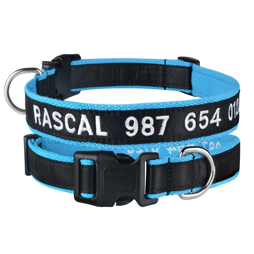 Embroidered Personalized Nylon Collars