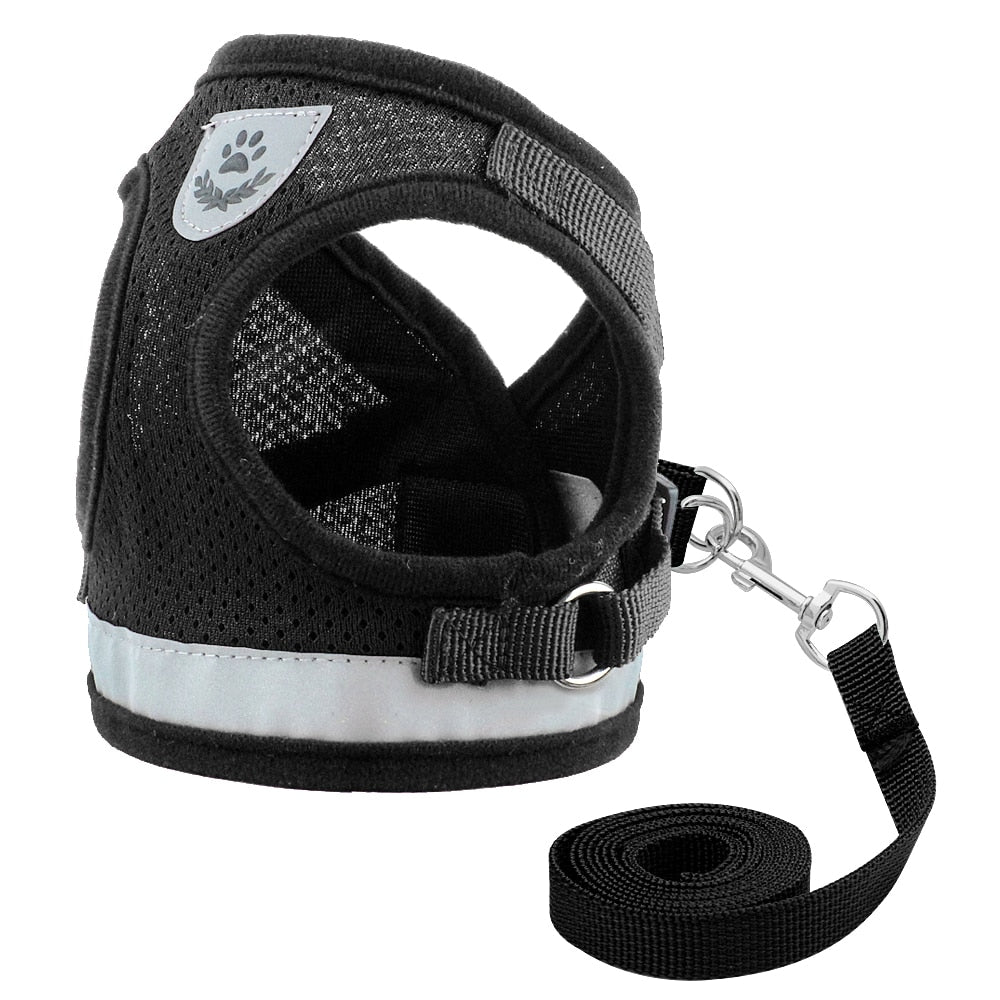 Dog Harness with Leash by Paercute