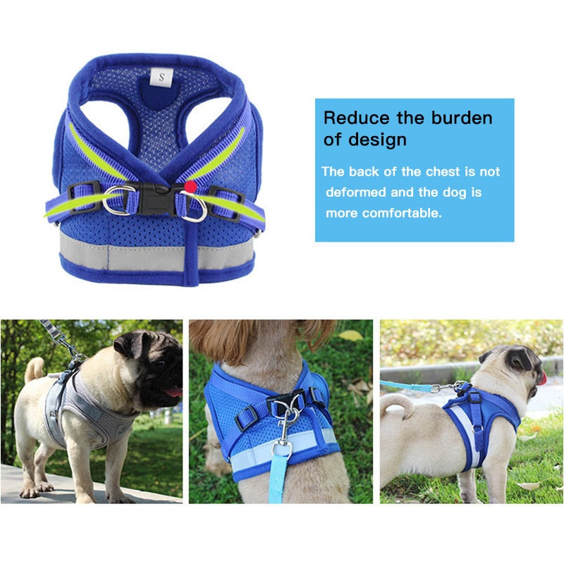 Dog Harness with Leash by Paercute