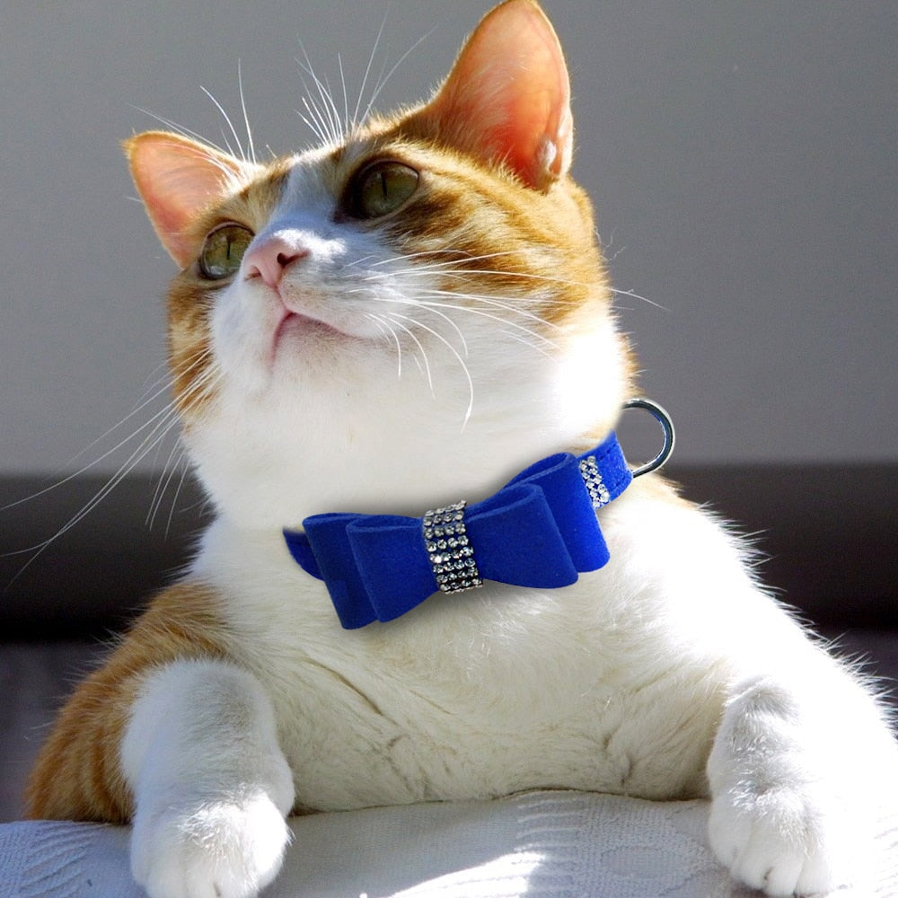 Bling Rhinestone Cat and Small Dog Collar