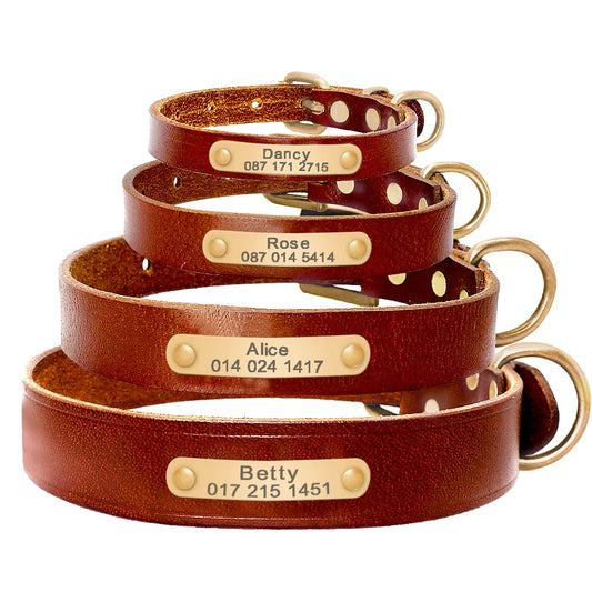 Personalized Leather Dog ID Collar