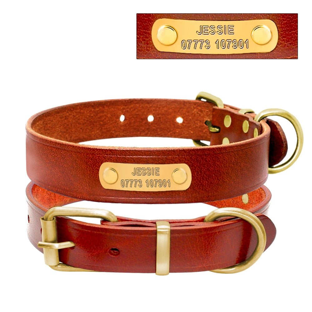Personalized Leather Dog ID Collar