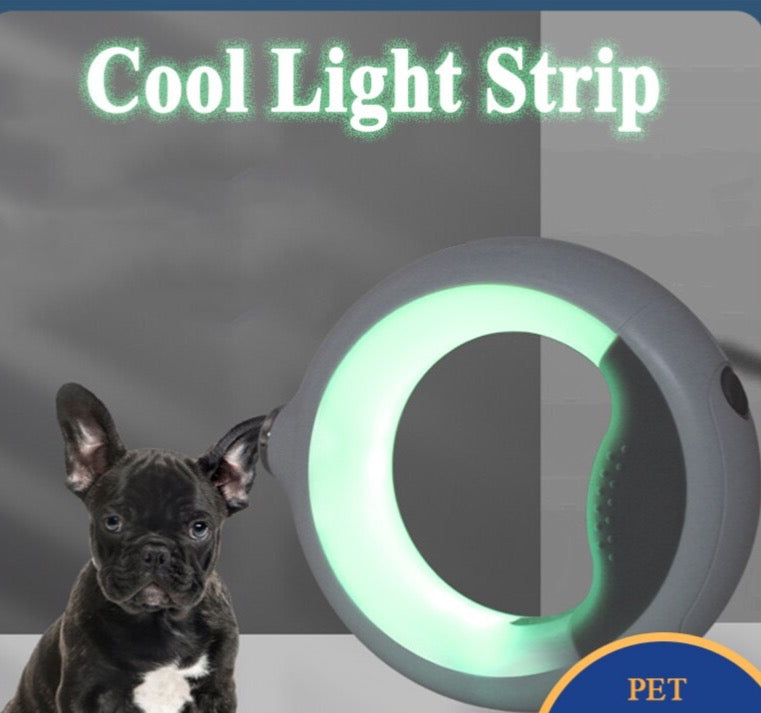 Multi Coloured Illuminated Dog Leash with Flashlight