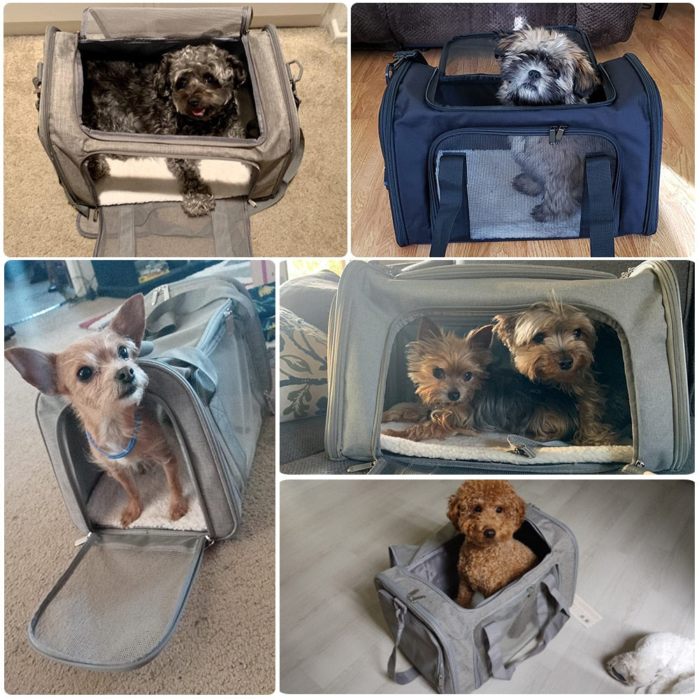 Pet travel bag airline hot sale approved