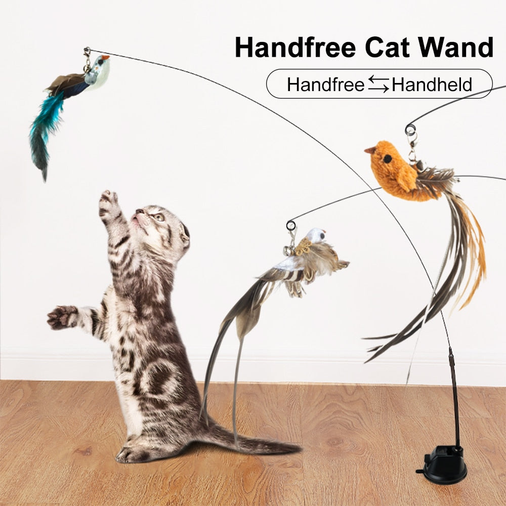 Exotic bird Hands free Cat Wand