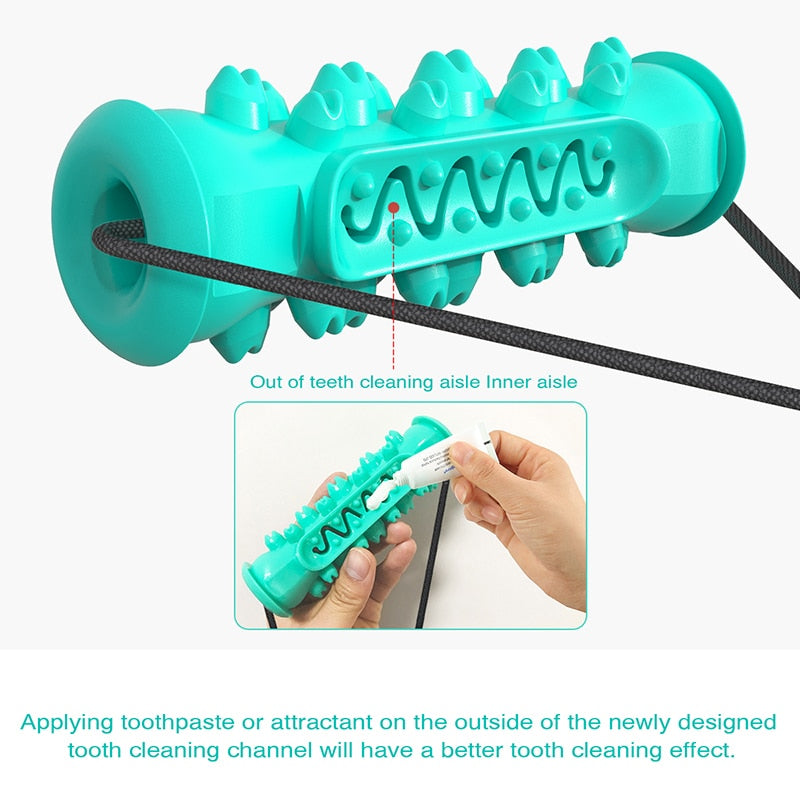 Dog Chew Toothbrush Combo Toy